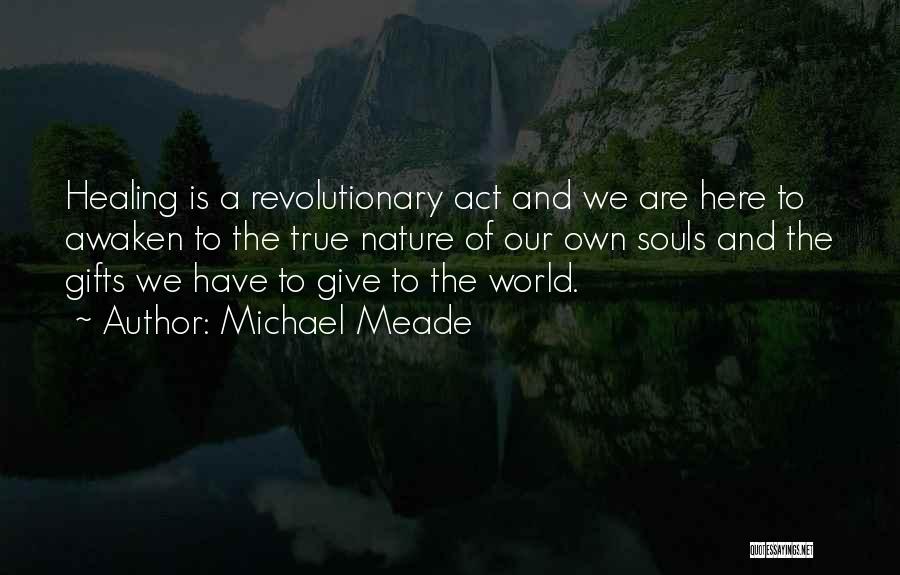 Michael Meade Quotes: Healing Is A Revolutionary Act And We Are Here To Awaken To The True Nature Of Our Own Souls And