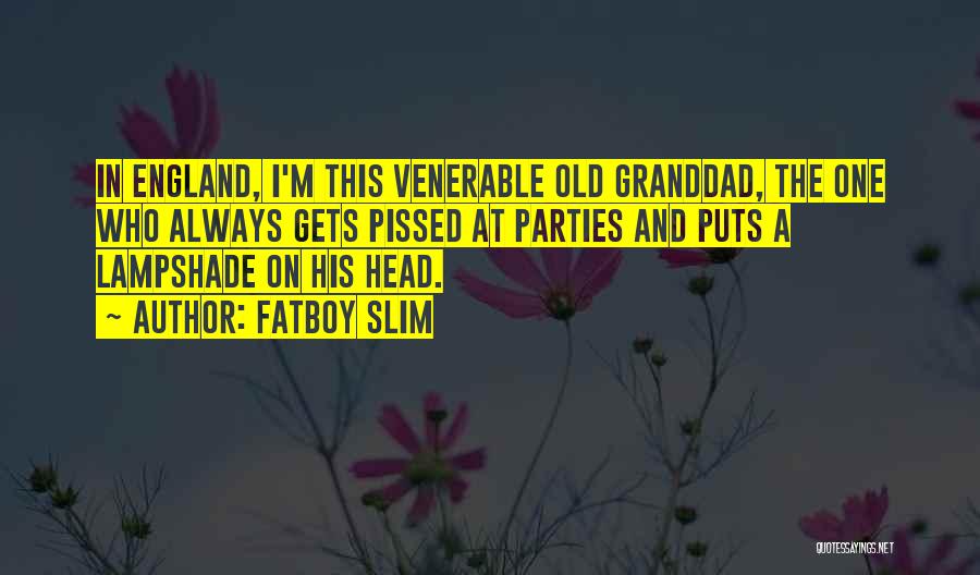 Fatboy Slim Quotes: In England, I'm This Venerable Old Granddad, The One Who Always Gets Pissed At Parties And Puts A Lampshade On