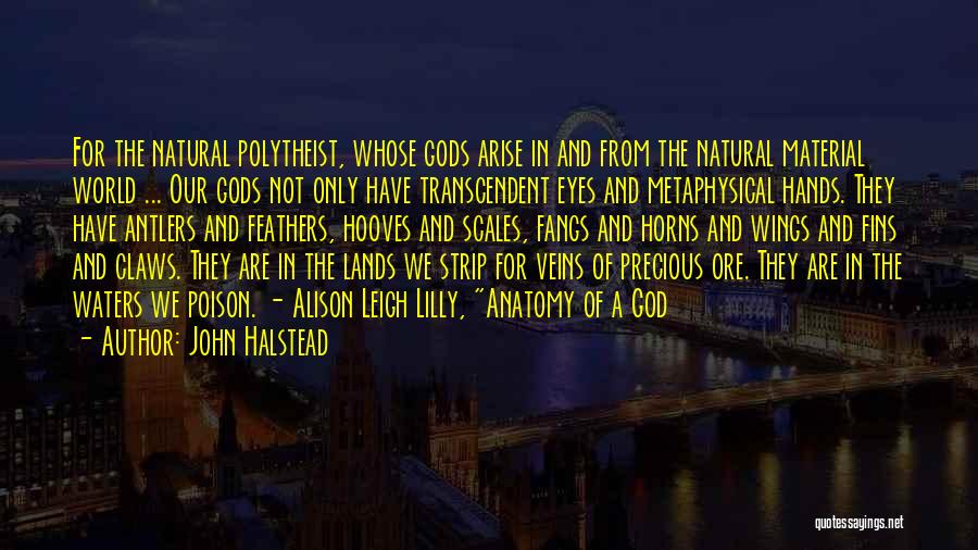 John Halstead Quotes: For The Natural Polytheist, Whose Gods Arise In And From The Natural Material World ... Our Gods Not Only Have
