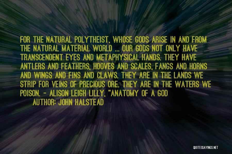 John Halstead Quotes: For The Natural Polytheist, Whose Gods Arise In And From The Natural Material World ... Our Gods Not Only Have