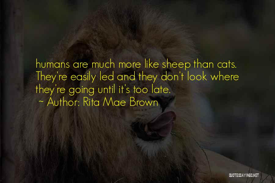 Rita Mae Brown Quotes: Humans Are Much More Like Sheep Than Cats. They're Easily Led And They Don't Look Where They're Going Until It's
