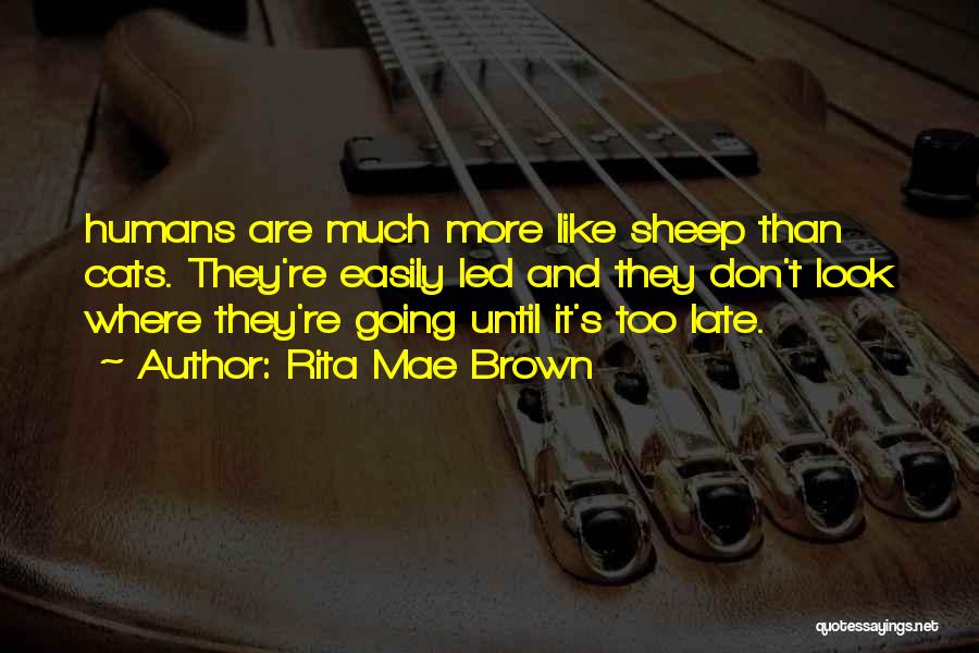 Rita Mae Brown Quotes: Humans Are Much More Like Sheep Than Cats. They're Easily Led And They Don't Look Where They're Going Until It's