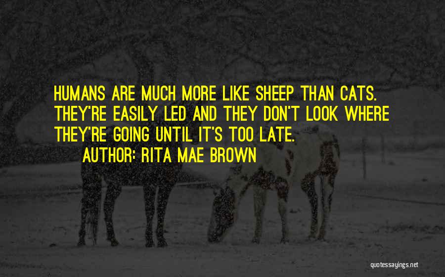 Rita Mae Brown Quotes: Humans Are Much More Like Sheep Than Cats. They're Easily Led And They Don't Look Where They're Going Until It's