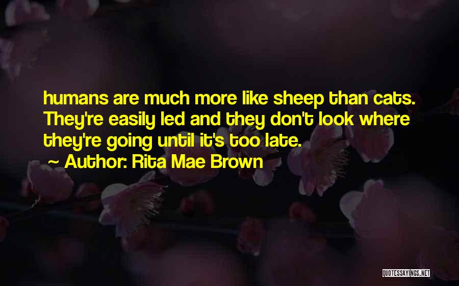 Rita Mae Brown Quotes: Humans Are Much More Like Sheep Than Cats. They're Easily Led And They Don't Look Where They're Going Until It's