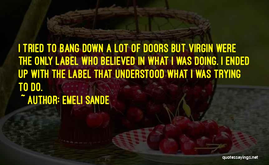 Emeli Sande Quotes: I Tried To Bang Down A Lot Of Doors But Virgin Were The Only Label Who Believed In What I