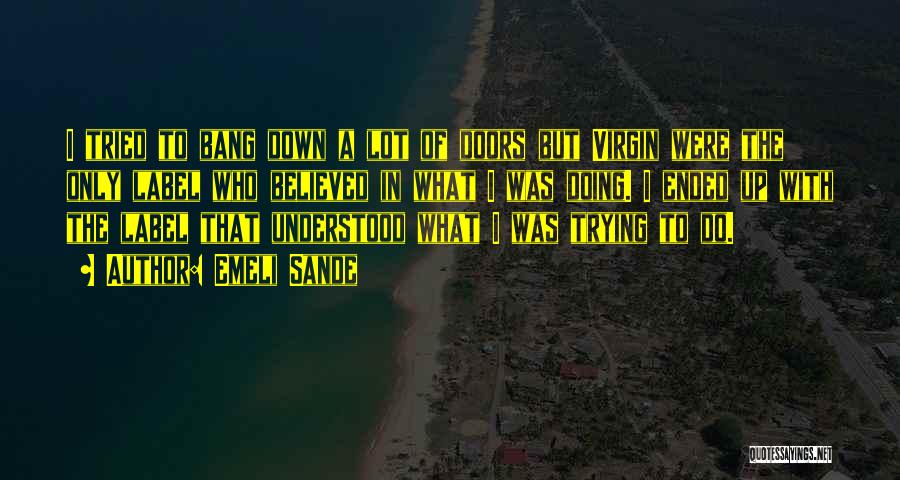 Emeli Sande Quotes: I Tried To Bang Down A Lot Of Doors But Virgin Were The Only Label Who Believed In What I