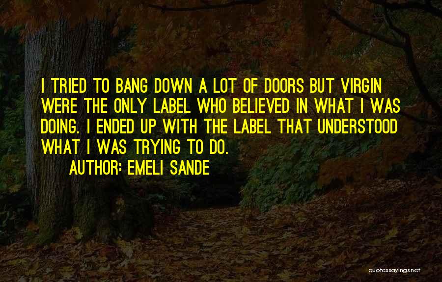 Emeli Sande Quotes: I Tried To Bang Down A Lot Of Doors But Virgin Were The Only Label Who Believed In What I