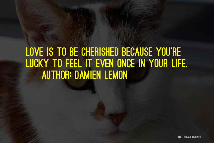 Damien Lemon Quotes: Love Is To Be Cherished Because You're Lucky To Feel It Even Once In Your Life.