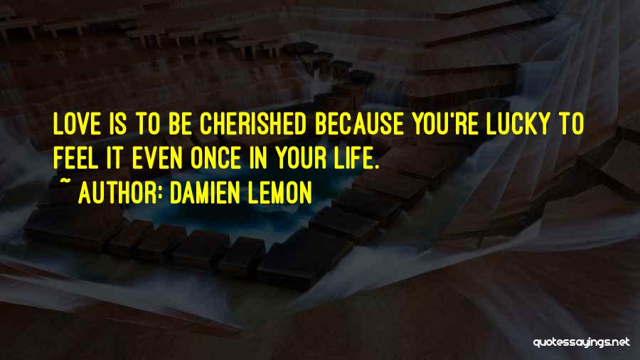 Damien Lemon Quotes: Love Is To Be Cherished Because You're Lucky To Feel It Even Once In Your Life.