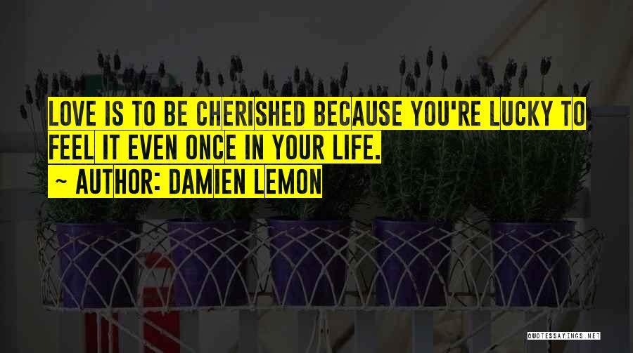 Damien Lemon Quotes: Love Is To Be Cherished Because You're Lucky To Feel It Even Once In Your Life.