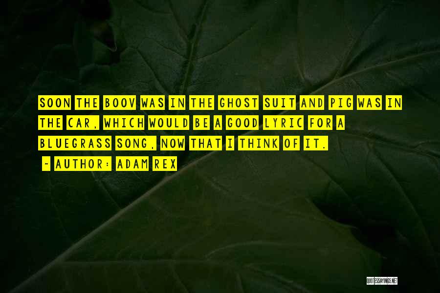 Adam Rex Quotes: Soon The Boov Was In The Ghost Suit And Pig Was In The Car, Which Would Be A Good Lyric