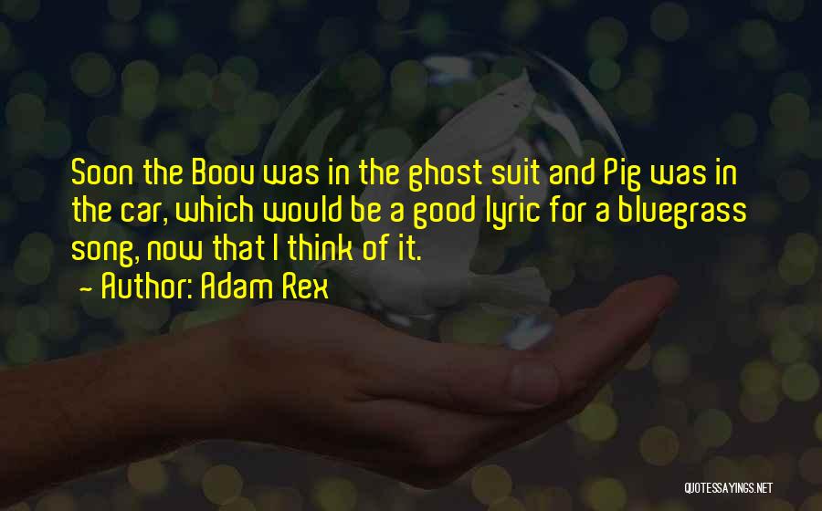 Adam Rex Quotes: Soon The Boov Was In The Ghost Suit And Pig Was In The Car, Which Would Be A Good Lyric