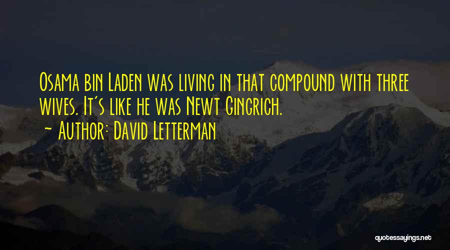 David Letterman Quotes: Osama Bin Laden Was Living In That Compound With Three Wives. It's Like He Was Newt Gingrich.