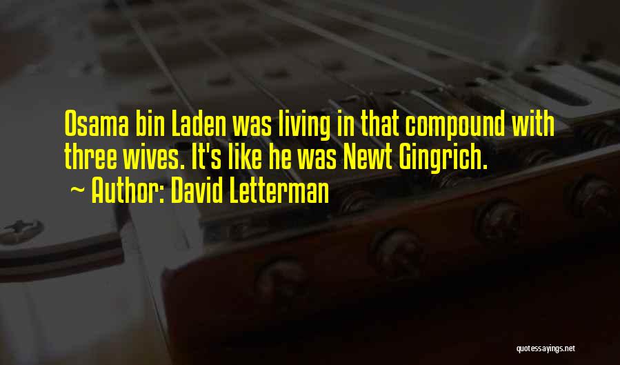 David Letterman Quotes: Osama Bin Laden Was Living In That Compound With Three Wives. It's Like He Was Newt Gingrich.