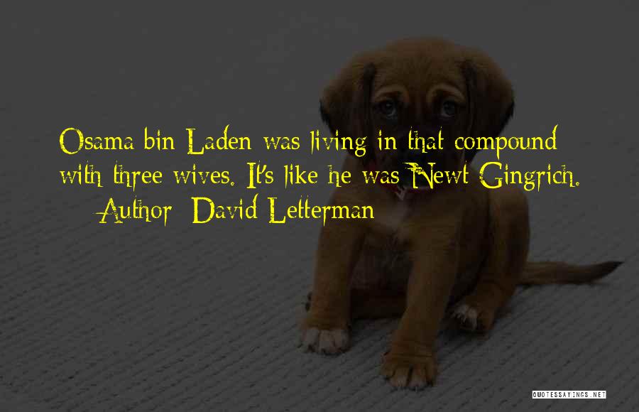 David Letterman Quotes: Osama Bin Laden Was Living In That Compound With Three Wives. It's Like He Was Newt Gingrich.