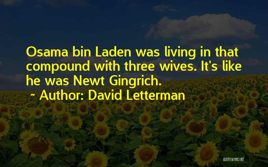 David Letterman Quotes: Osama Bin Laden Was Living In That Compound With Three Wives. It's Like He Was Newt Gingrich.