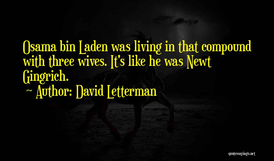 David Letterman Quotes: Osama Bin Laden Was Living In That Compound With Three Wives. It's Like He Was Newt Gingrich.