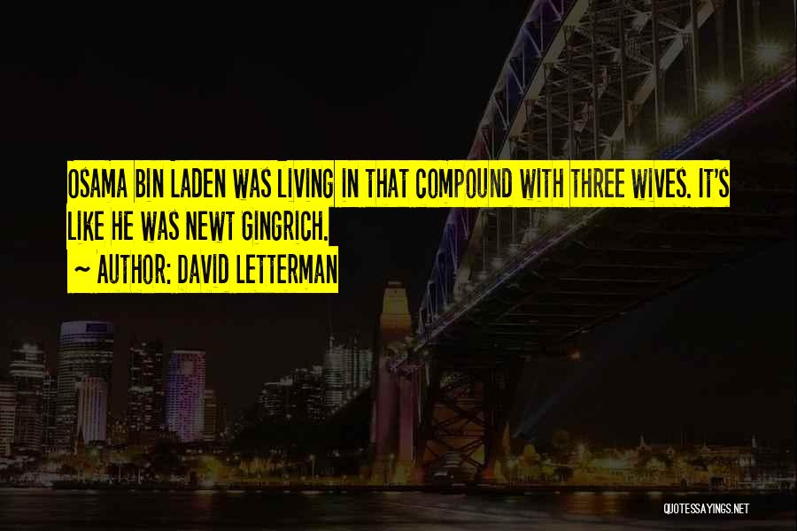 David Letterman Quotes: Osama Bin Laden Was Living In That Compound With Three Wives. It's Like He Was Newt Gingrich.