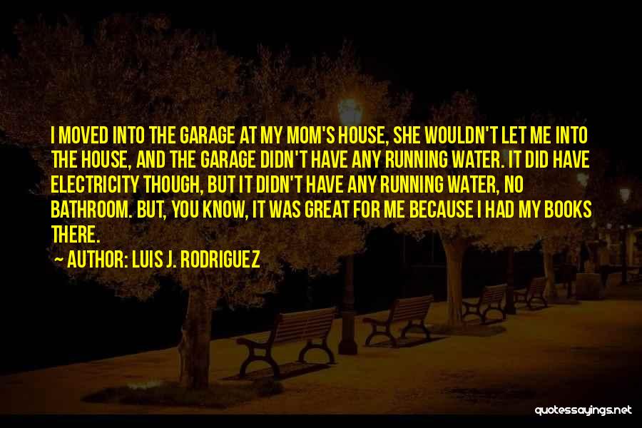 Luis J. Rodriguez Quotes: I Moved Into The Garage At My Mom's House, She Wouldn't Let Me Into The House, And The Garage Didn't