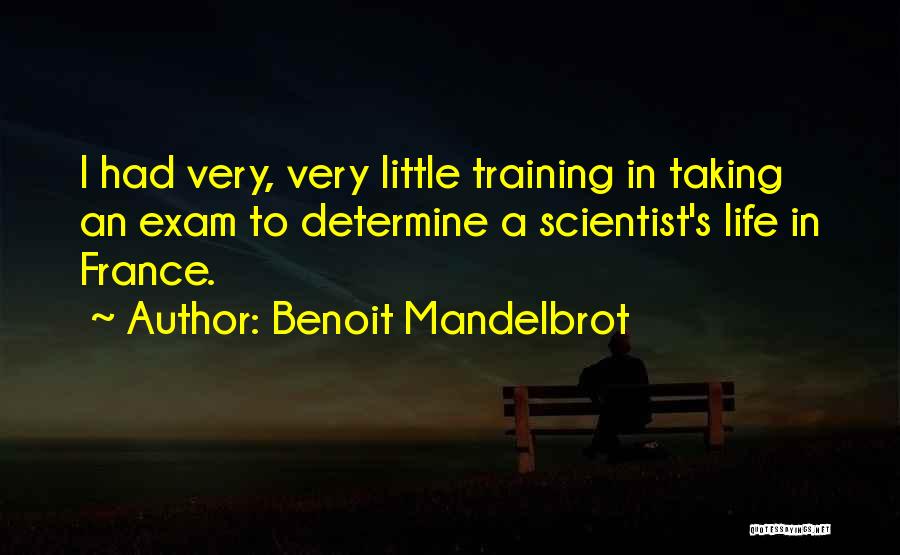 Benoit Mandelbrot Quotes: I Had Very, Very Little Training In Taking An Exam To Determine A Scientist's Life In France.