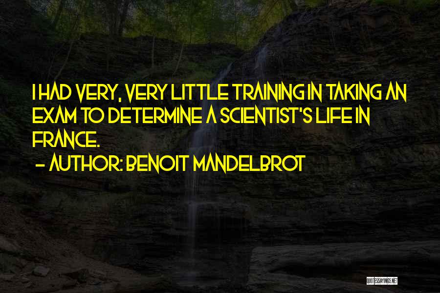 Benoit Mandelbrot Quotes: I Had Very, Very Little Training In Taking An Exam To Determine A Scientist's Life In France.