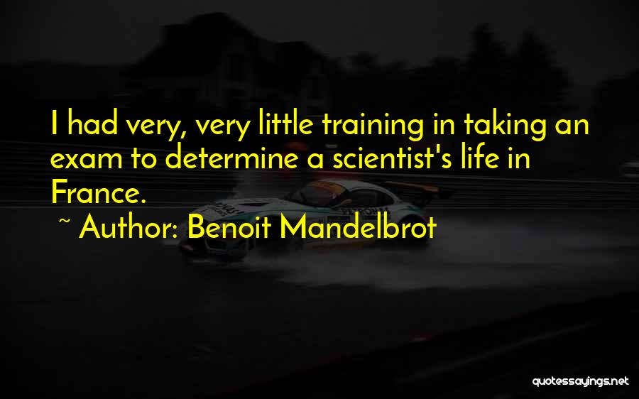 Benoit Mandelbrot Quotes: I Had Very, Very Little Training In Taking An Exam To Determine A Scientist's Life In France.
