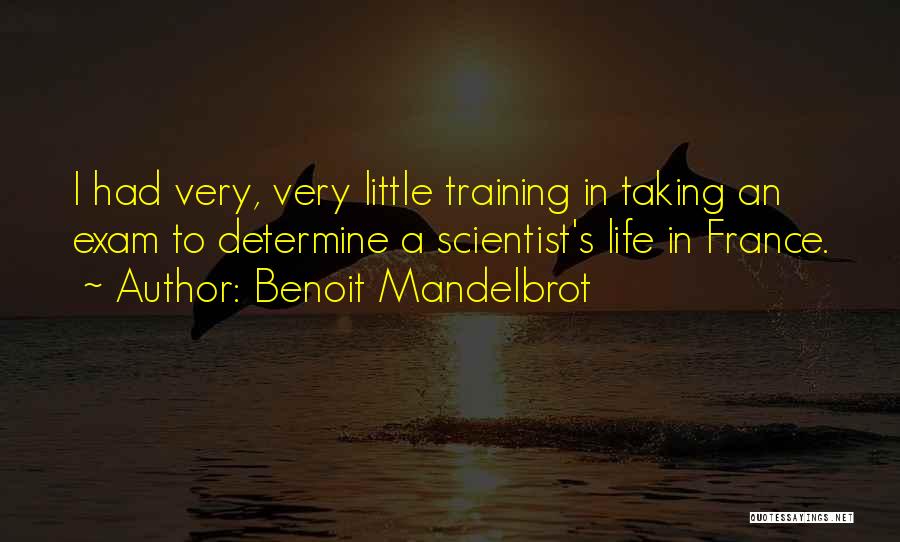 Benoit Mandelbrot Quotes: I Had Very, Very Little Training In Taking An Exam To Determine A Scientist's Life In France.