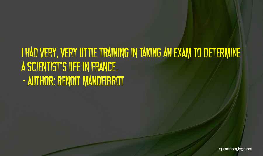 Benoit Mandelbrot Quotes: I Had Very, Very Little Training In Taking An Exam To Determine A Scientist's Life In France.