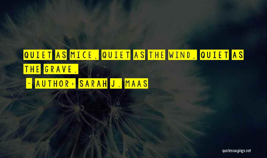 Sarah J. Maas Quotes: Quiet As Mice, Quiet As The Wind, Quiet As The Grave.
