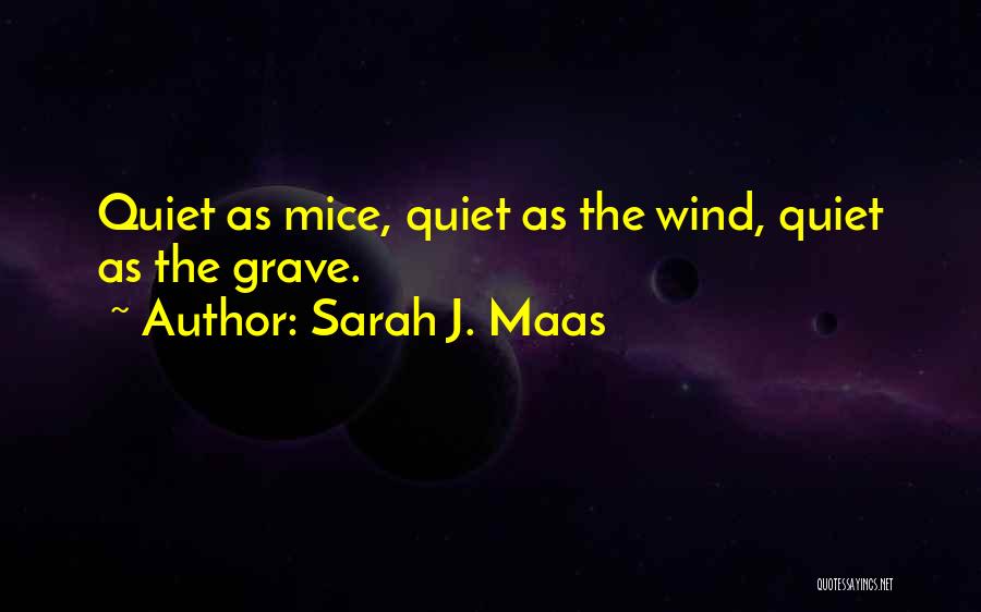 Sarah J. Maas Quotes: Quiet As Mice, Quiet As The Wind, Quiet As The Grave.