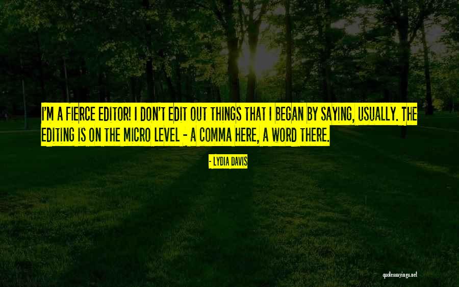 1506g Quotes By Lydia Davis