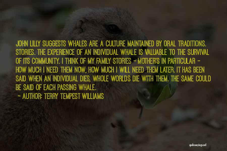 Terry Tempest Williams Quotes: John Lilly Suggests Whales Are A Culture Maintained By Oral Traditions. Stories. The Experience Of An Individual Whale Is Valuable