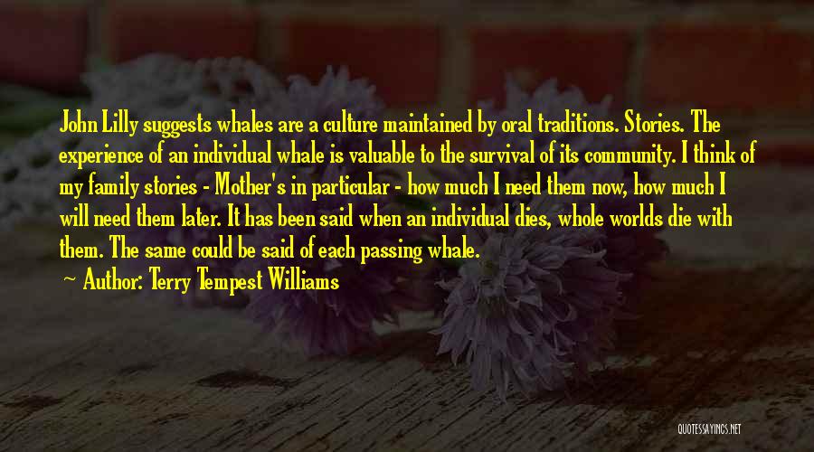 Terry Tempest Williams Quotes: John Lilly Suggests Whales Are A Culture Maintained By Oral Traditions. Stories. The Experience Of An Individual Whale Is Valuable