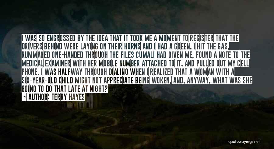 Terry Hayes Quotes: I Was So Engrossed By The Idea That It Took Me A Moment To Register That The Drivers Behind Were