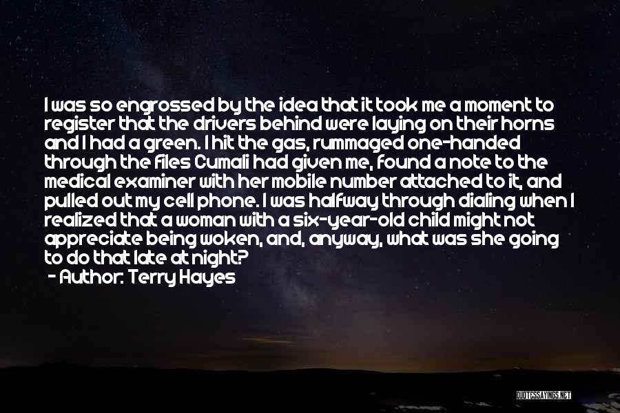 Terry Hayes Quotes: I Was So Engrossed By The Idea That It Took Me A Moment To Register That The Drivers Behind Were