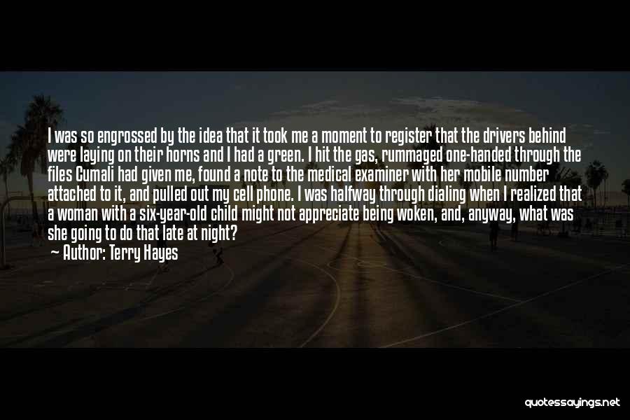 Terry Hayes Quotes: I Was So Engrossed By The Idea That It Took Me A Moment To Register That The Drivers Behind Were