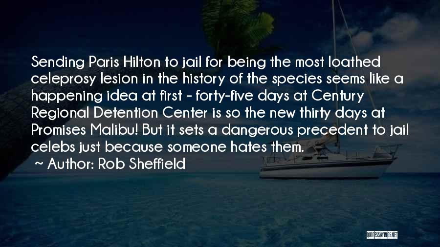 Rob Sheffield Quotes: Sending Paris Hilton To Jail For Being The Most Loathed Celeprosy Lesion In The History Of The Species Seems Like