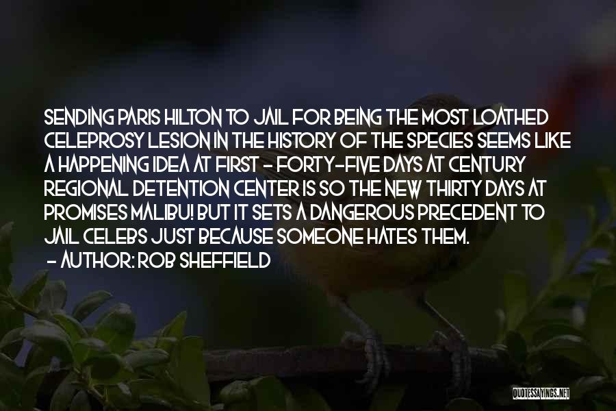 Rob Sheffield Quotes: Sending Paris Hilton To Jail For Being The Most Loathed Celeprosy Lesion In The History Of The Species Seems Like