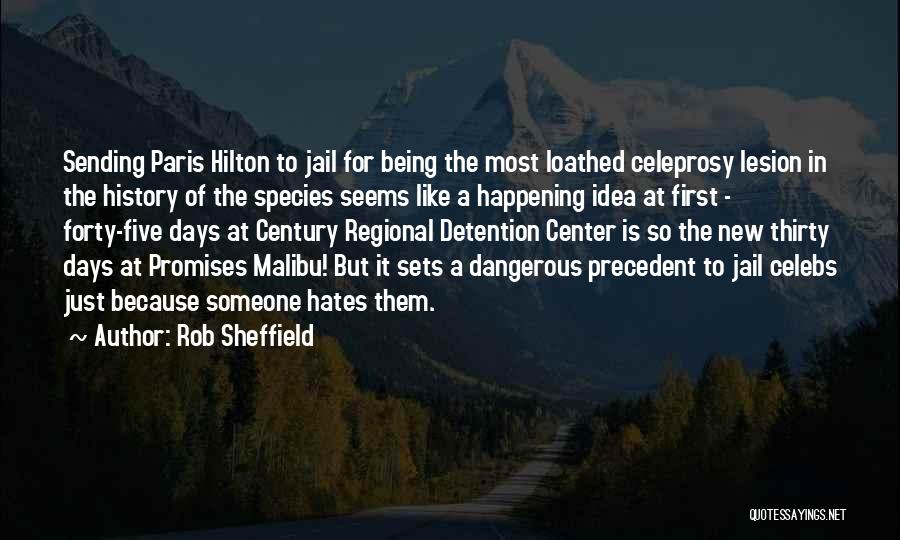 Rob Sheffield Quotes: Sending Paris Hilton To Jail For Being The Most Loathed Celeprosy Lesion In The History Of The Species Seems Like