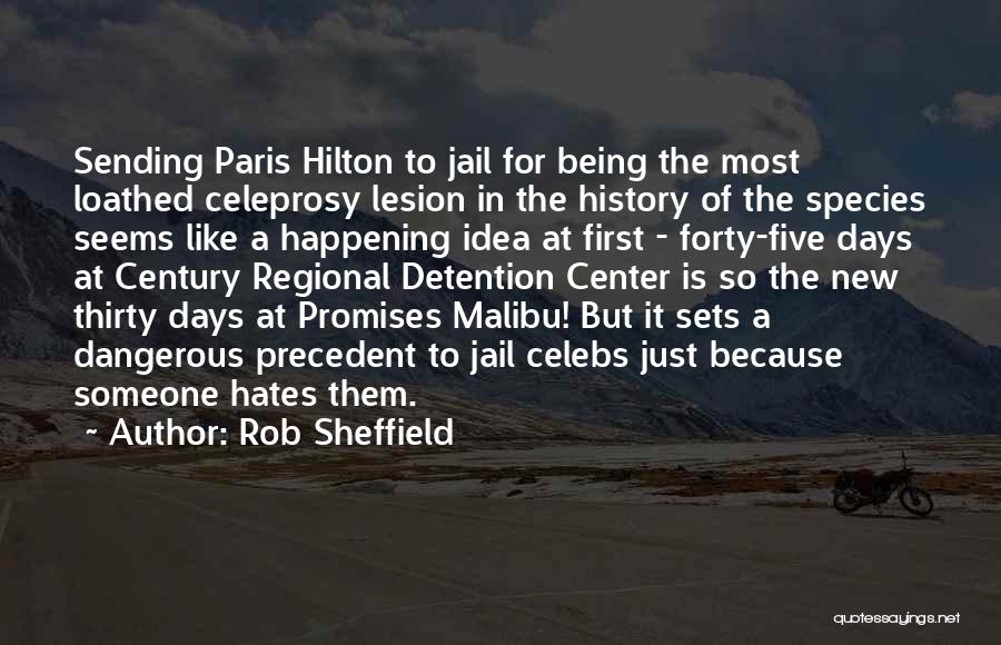 Rob Sheffield Quotes: Sending Paris Hilton To Jail For Being The Most Loathed Celeprosy Lesion In The History Of The Species Seems Like