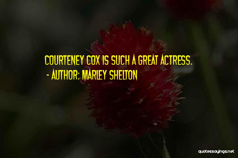 Marley Shelton Quotes: Courteney Cox Is Such A Great Actress.