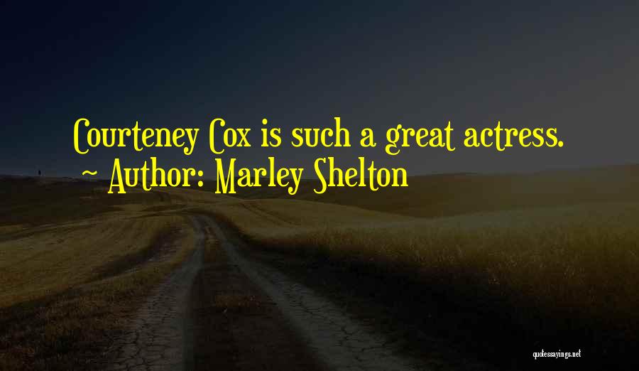 Marley Shelton Quotes: Courteney Cox Is Such A Great Actress.