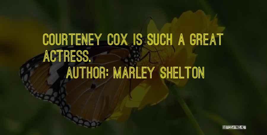 Marley Shelton Quotes: Courteney Cox Is Such A Great Actress.