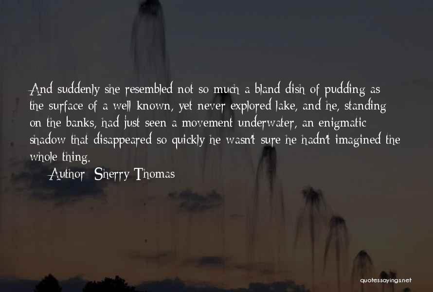 Sherry Thomas Quotes: And Suddenly She Resembled Not So Much A Bland Dish Of Pudding As The Surface Of A Well-known, Yet Never
