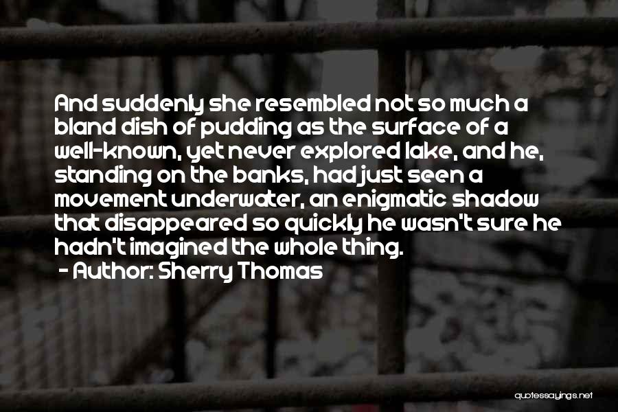 Sherry Thomas Quotes: And Suddenly She Resembled Not So Much A Bland Dish Of Pudding As The Surface Of A Well-known, Yet Never