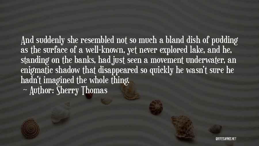 Sherry Thomas Quotes: And Suddenly She Resembled Not So Much A Bland Dish Of Pudding As The Surface Of A Well-known, Yet Never