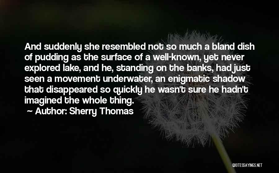 Sherry Thomas Quotes: And Suddenly She Resembled Not So Much A Bland Dish Of Pudding As The Surface Of A Well-known, Yet Never