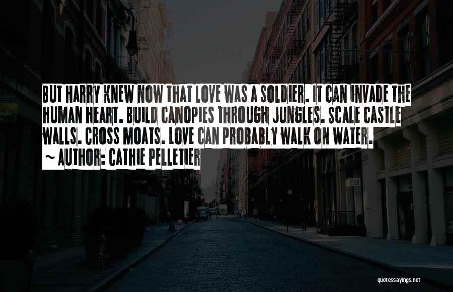 Cathie Pelletier Quotes: But Harry Knew Now That Love Was A Soldier. It Can Invade The Human Heart. Build Canopies Through Jungles. Scale