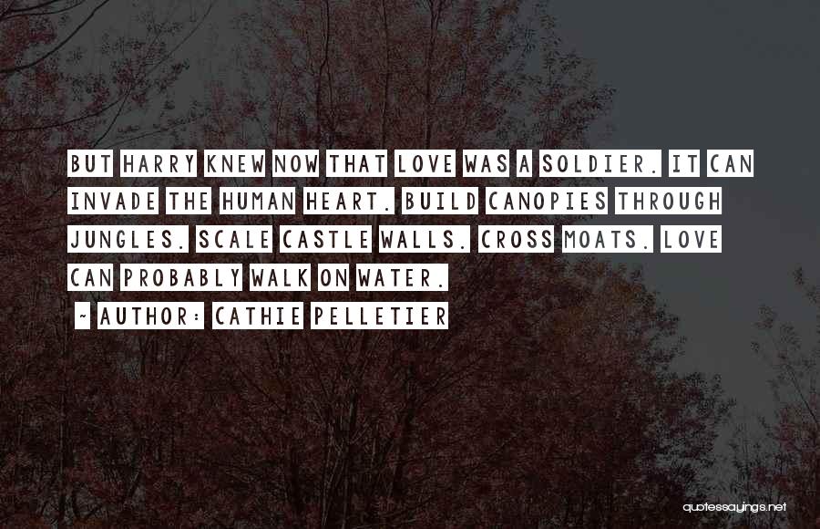 Cathie Pelletier Quotes: But Harry Knew Now That Love Was A Soldier. It Can Invade The Human Heart. Build Canopies Through Jungles. Scale