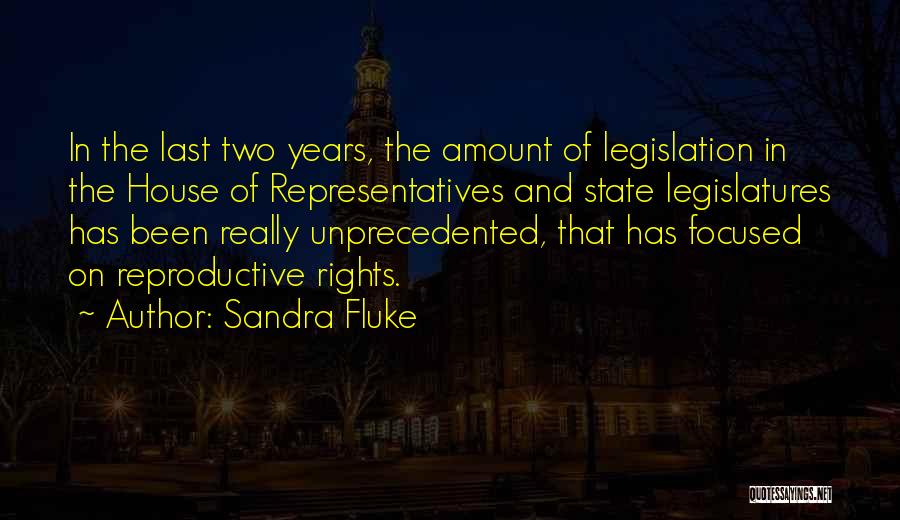 Sandra Fluke Quotes: In The Last Two Years, The Amount Of Legislation In The House Of Representatives And State Legislatures Has Been Really